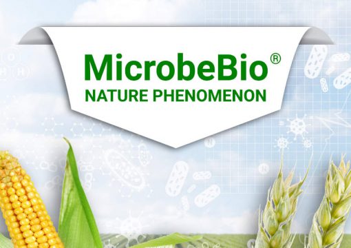 MicrobeBio Booklet