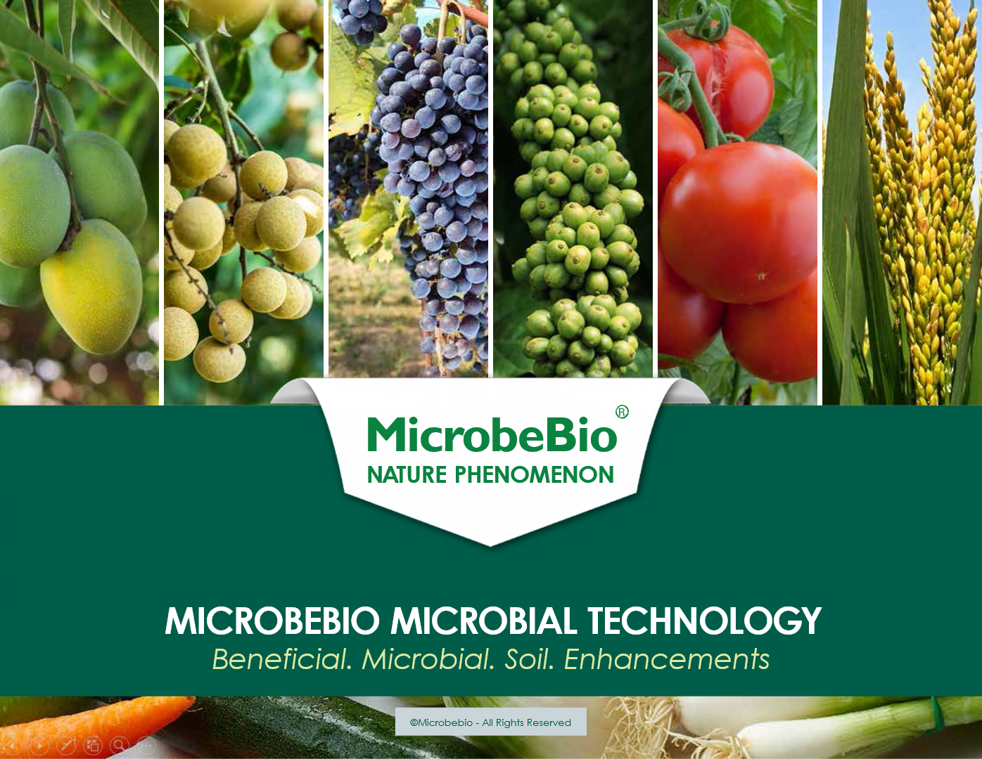 microbial, microbial fertilzier, NPK, NPK fertilizer, best fertilizer, the best fertilizer usa, fertilizer dealer supply, liquid fertilizer, hydro ferlizer, microbebio, microbe fertilizer, microbebial fertilizer, micronutrient fertilizer products, microbial fertilizer, microlife fertilizer, micro fertilizer, micronutrient fertilizer mixtures, mix micronutrient fertilizer, micro food fertilizer, liquid micronutrients fertilizer, microbe bio fertilizer, microbe preader, nutrients npk, soil enhance, granular fertilizer, liquid micronutrients fertilizer, organic micronutrient fertilizer, microbebio, microbe, fertilizer, microbes fertilizer, rice, gardening tools, soil microbes, grow soil, plan vigor, promote grown, better crops, Liquid Fertilizers, usa fertilizer, usa best fertilizer