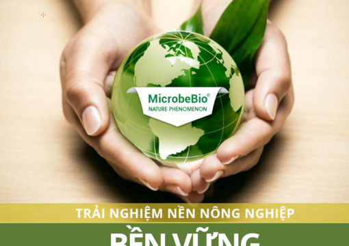 Microbebio Thúc Đẩy Hệ Sinh Thái Cân Bằng