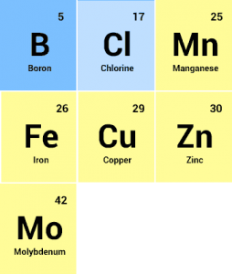 Microbebio