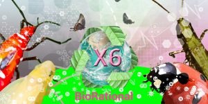 Mirobebo Biorational X6