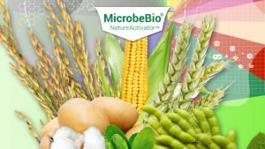 Microbebio Nature Activator