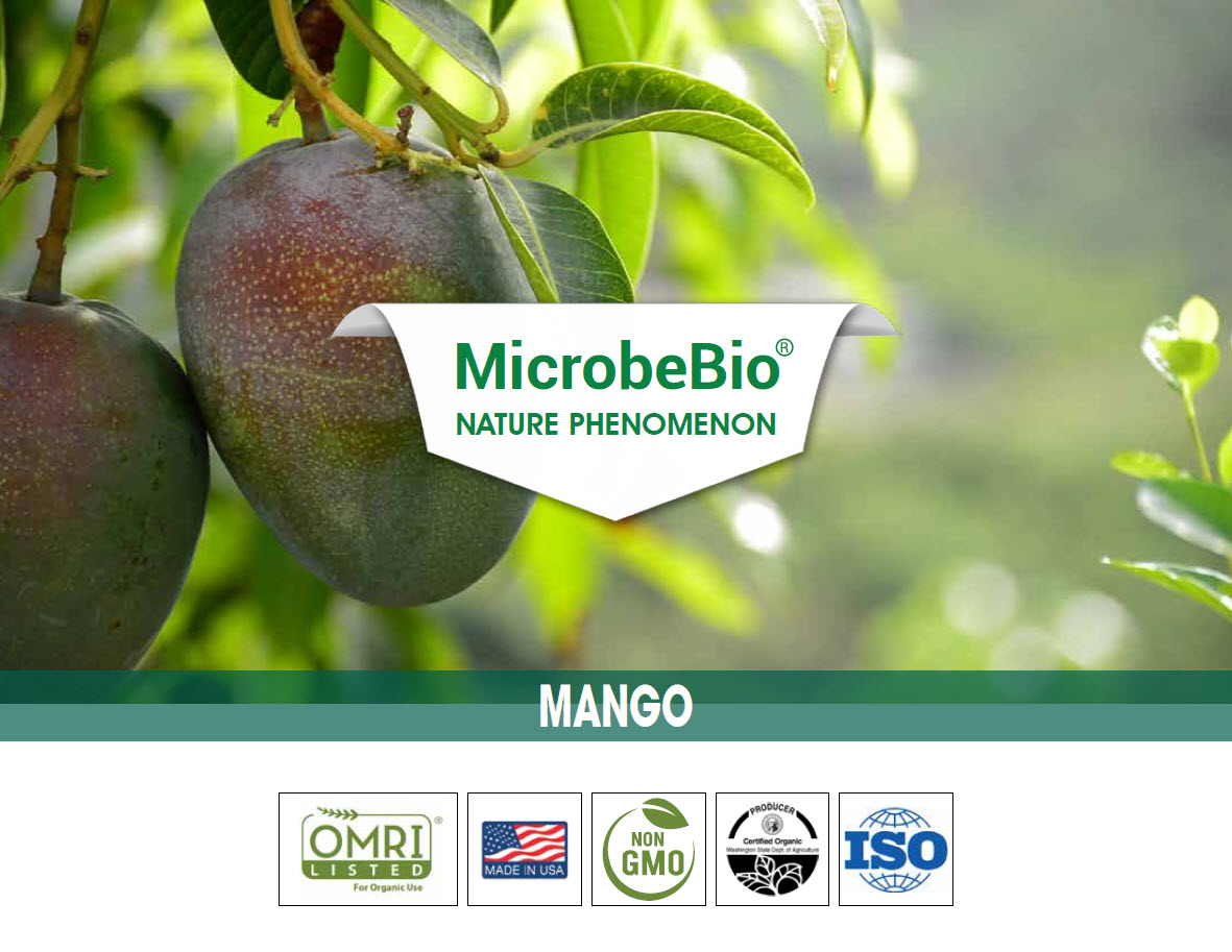 Microbebio Mango