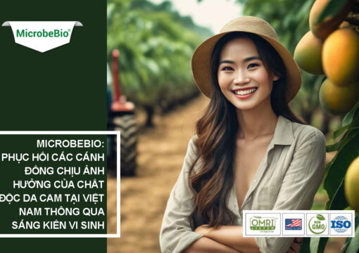 Microbebio: Phục Hồi Các Cánh Đồng Chịu Ảnh Hưởng Của Chất Độc Da Cam Tại Việt Nam Thông Qua Sáng Kiến Vi Sinh