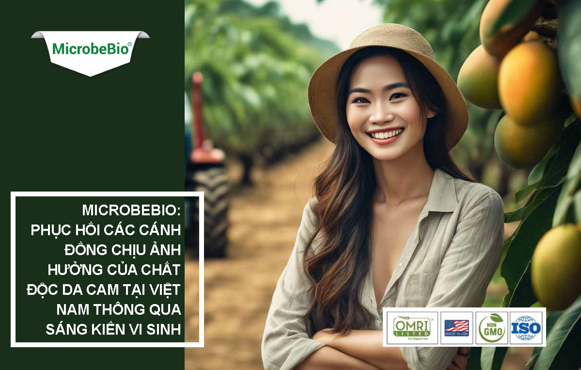 Microbebio: Phục Hồi Các Cánh Đồng Chịu Ảnh Hưởng Của Chất Độc Da Cam Tại Việt Nam Thông Qua Sáng Kiến Vi Sinh